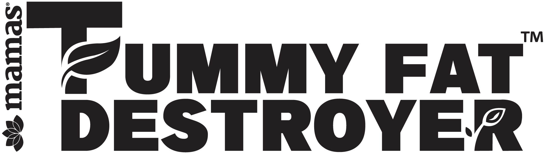 Tummy Fat Detroyer logo